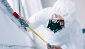 Emergency Pest Control Services in Traverse City, MI